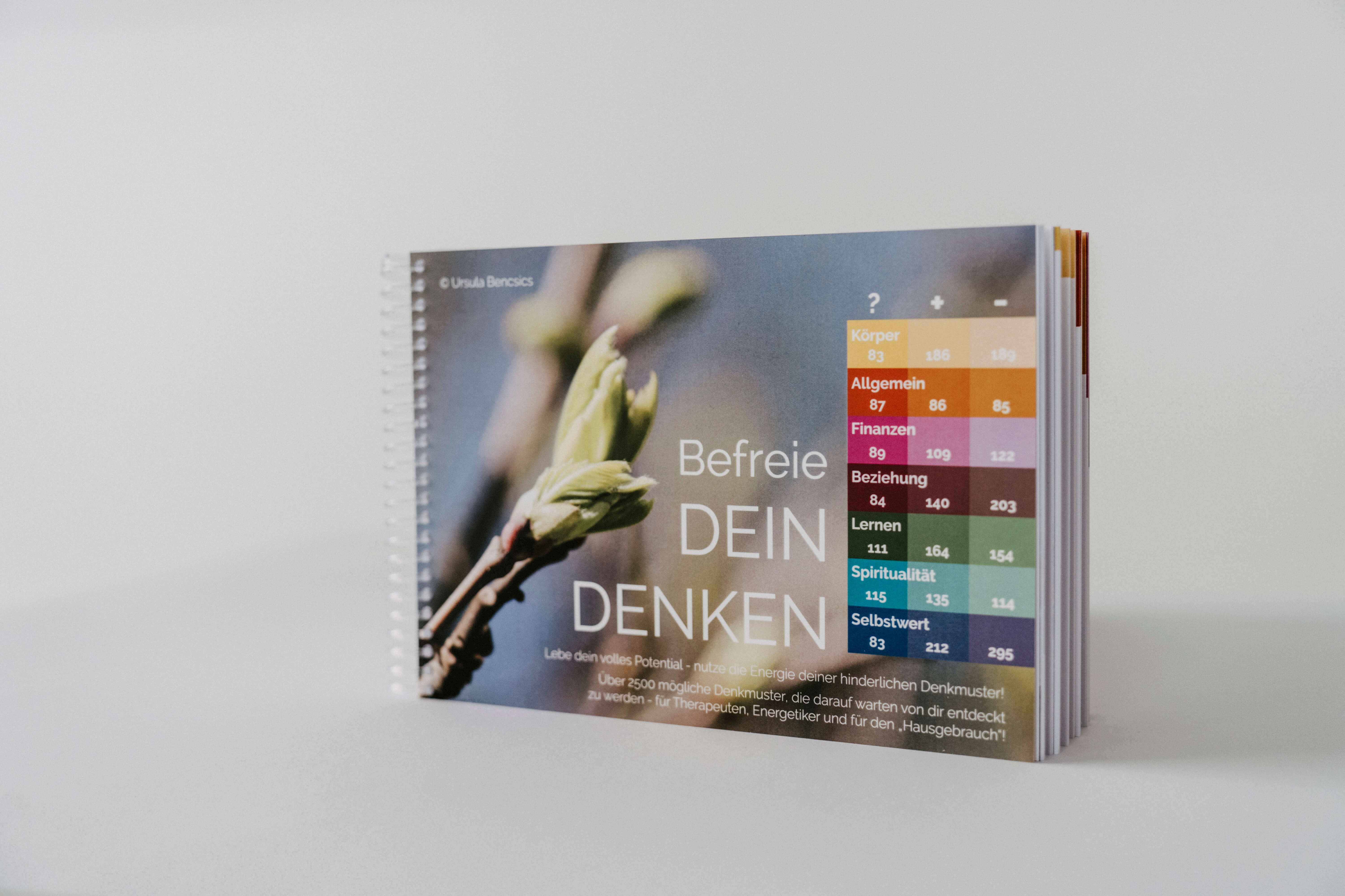 Coverbild des Buchs Befreie Dein Denken