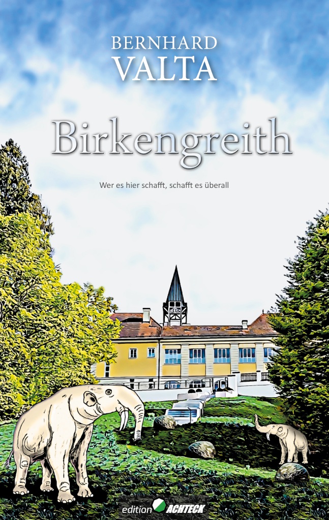 Coverbild des Buchs Birkengreith