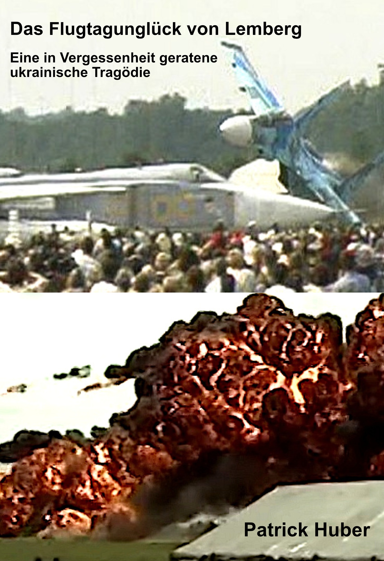 Coverbild des Buchs Das Flugtagunglück von Lemberg - eine in Vergessenheit geratene ukrainische Tragödie