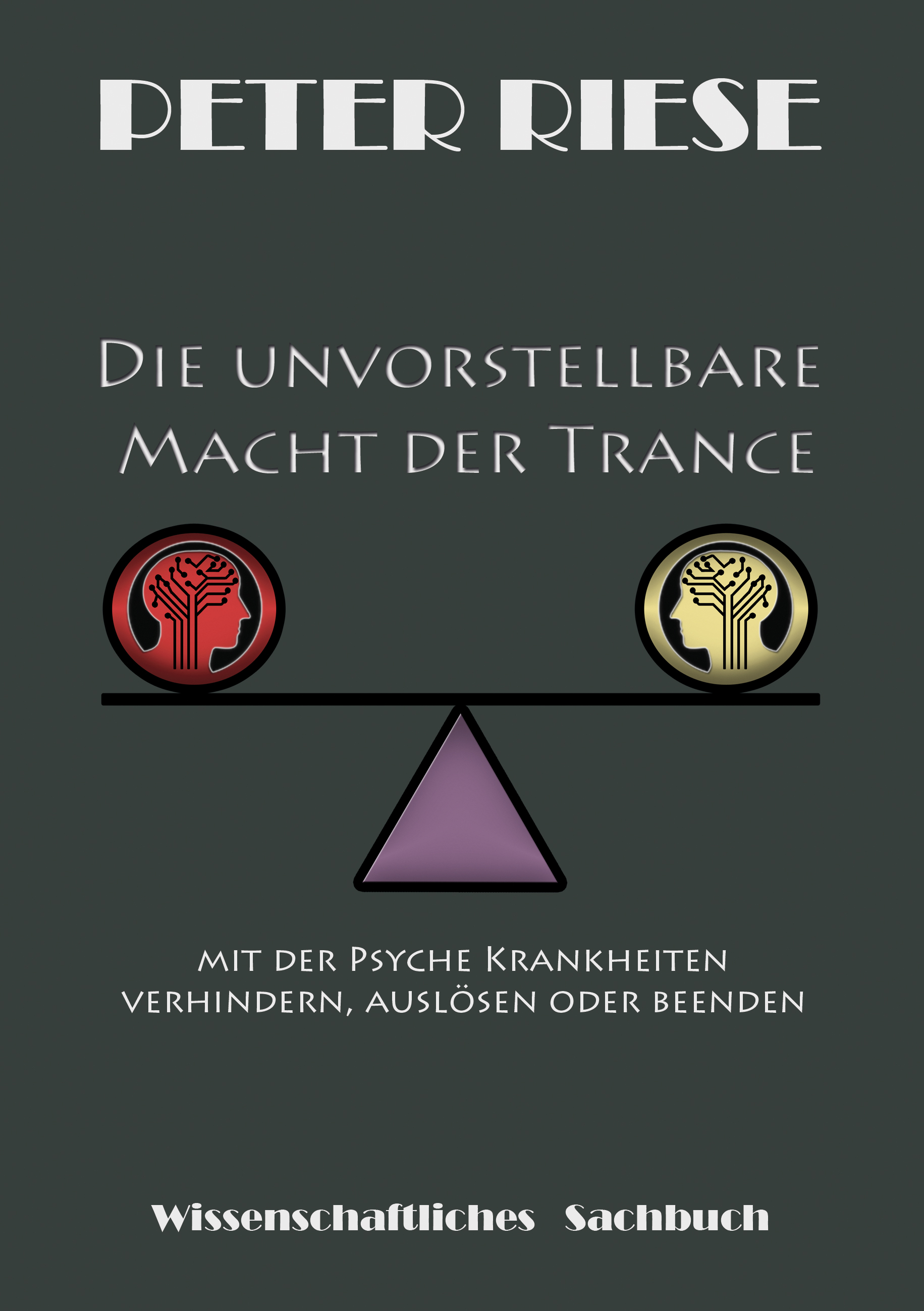 Coverbild des Buchs Die unvorstellbare Macht der Trance