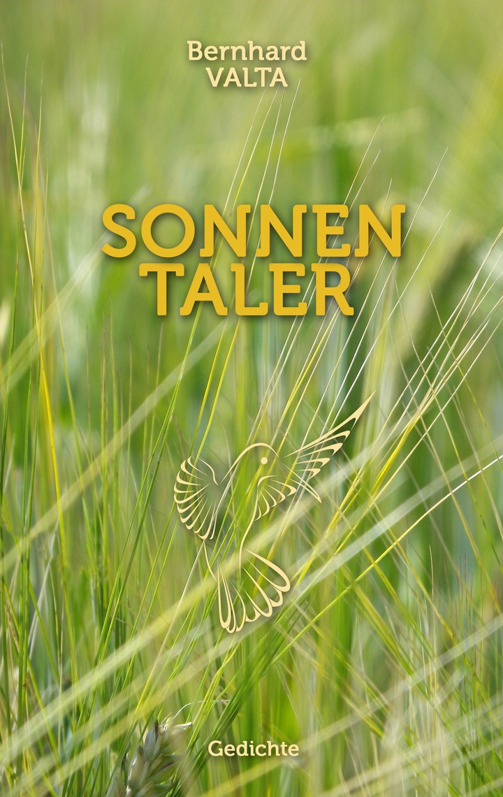 Coverbild des Buchs Sonnentaler