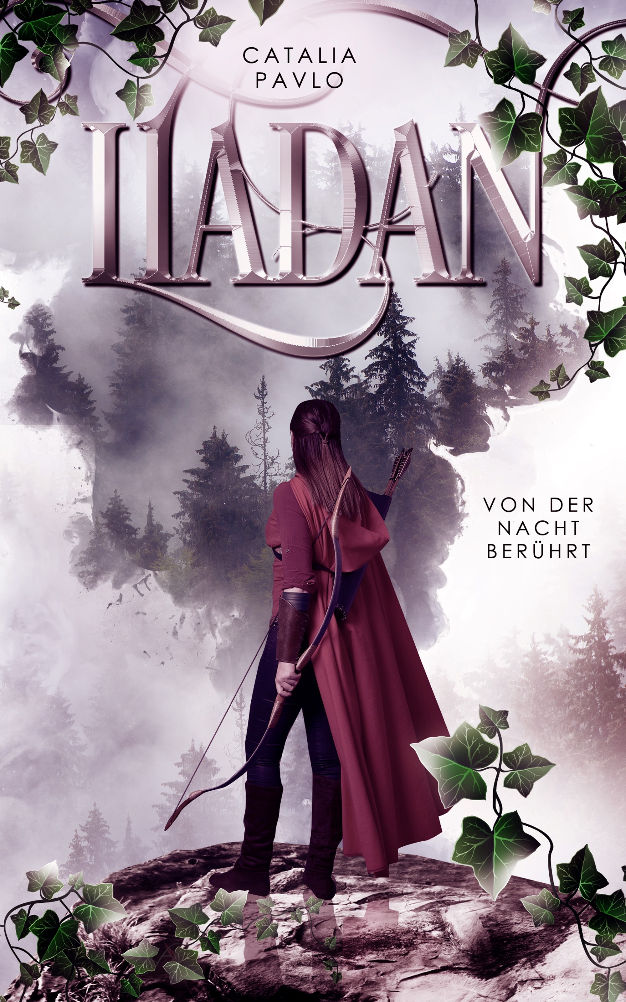 Coverbild des Buchs Liadan Von der Nacht berührt 