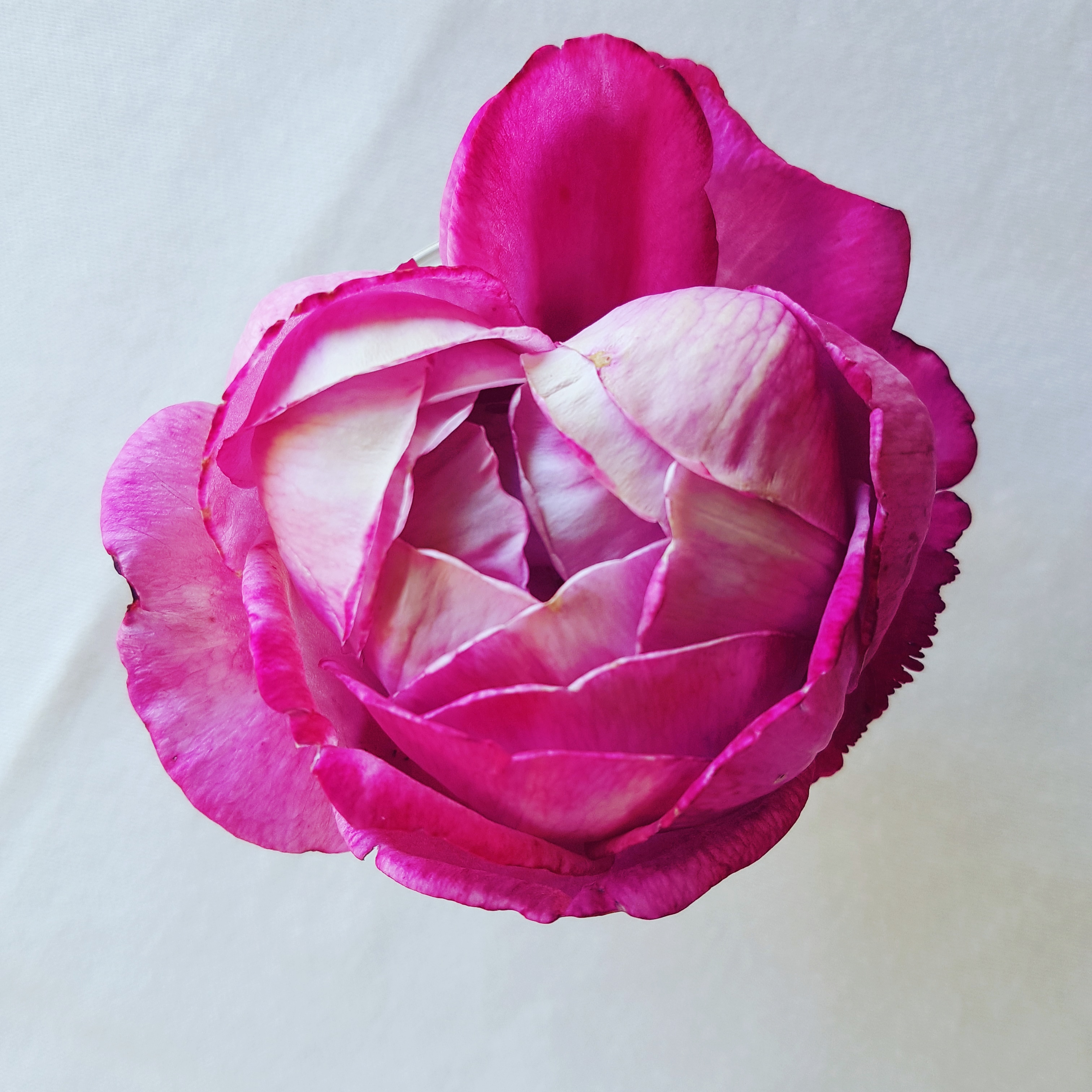 Coverbild des Buchs Love is the answer - Gedanken zur Liebe