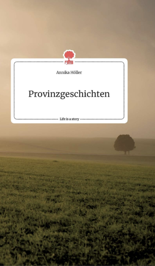 Coverbild des Buchs Provinzgeschichten