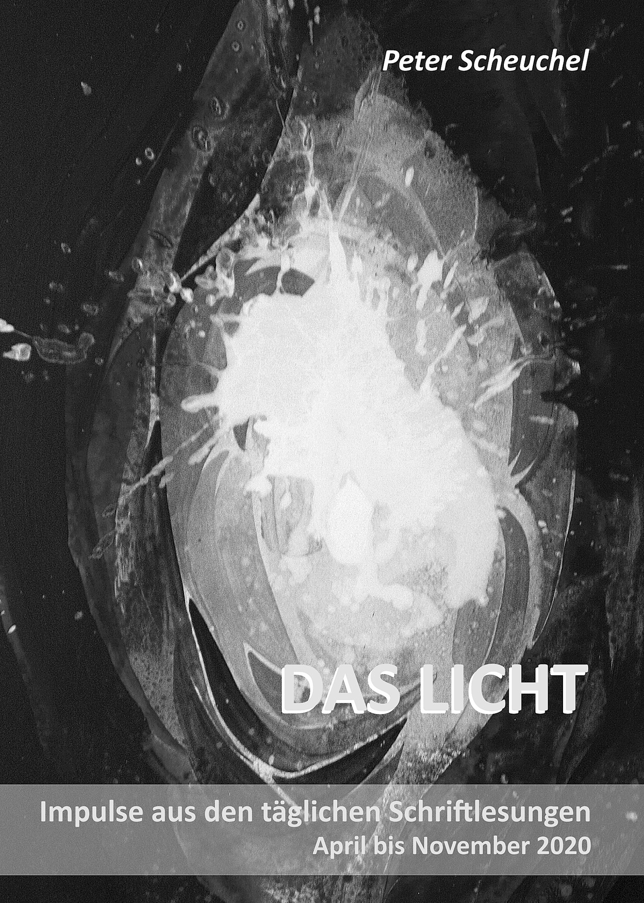 Coverbild des Buchs DAS LICHT 2020