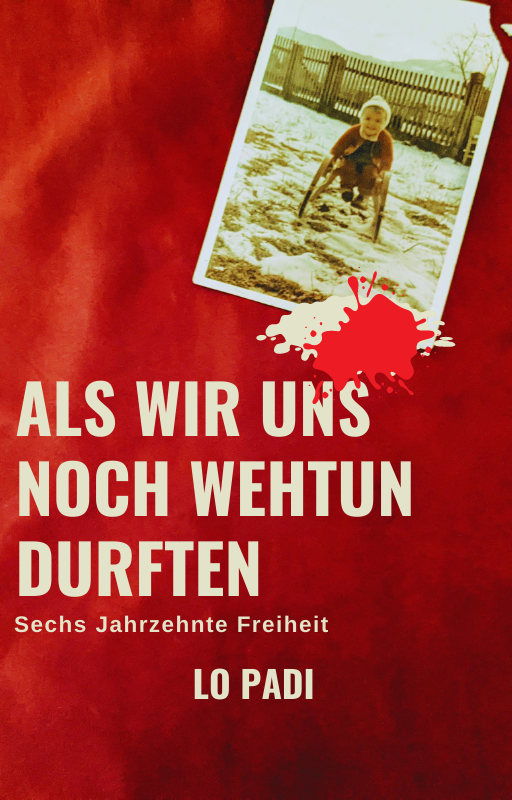 Coverbild des Buchs Als wir uns noch weh tun durften