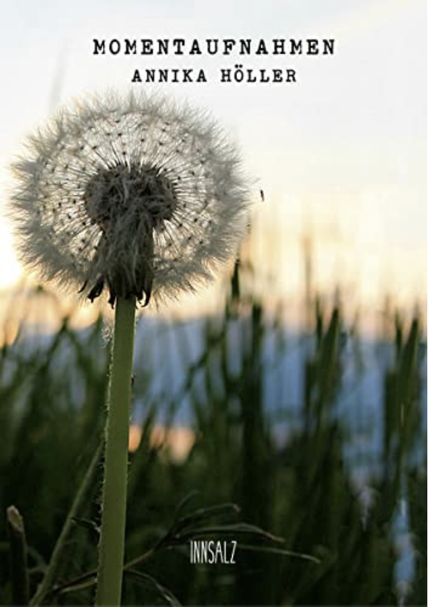 Coverbild des Buchs Momentaufnahmen