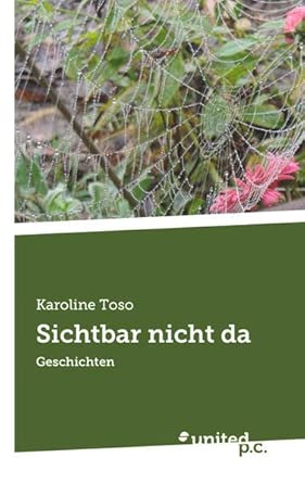 Coverbild des Buchs Sichtbar nicht da 