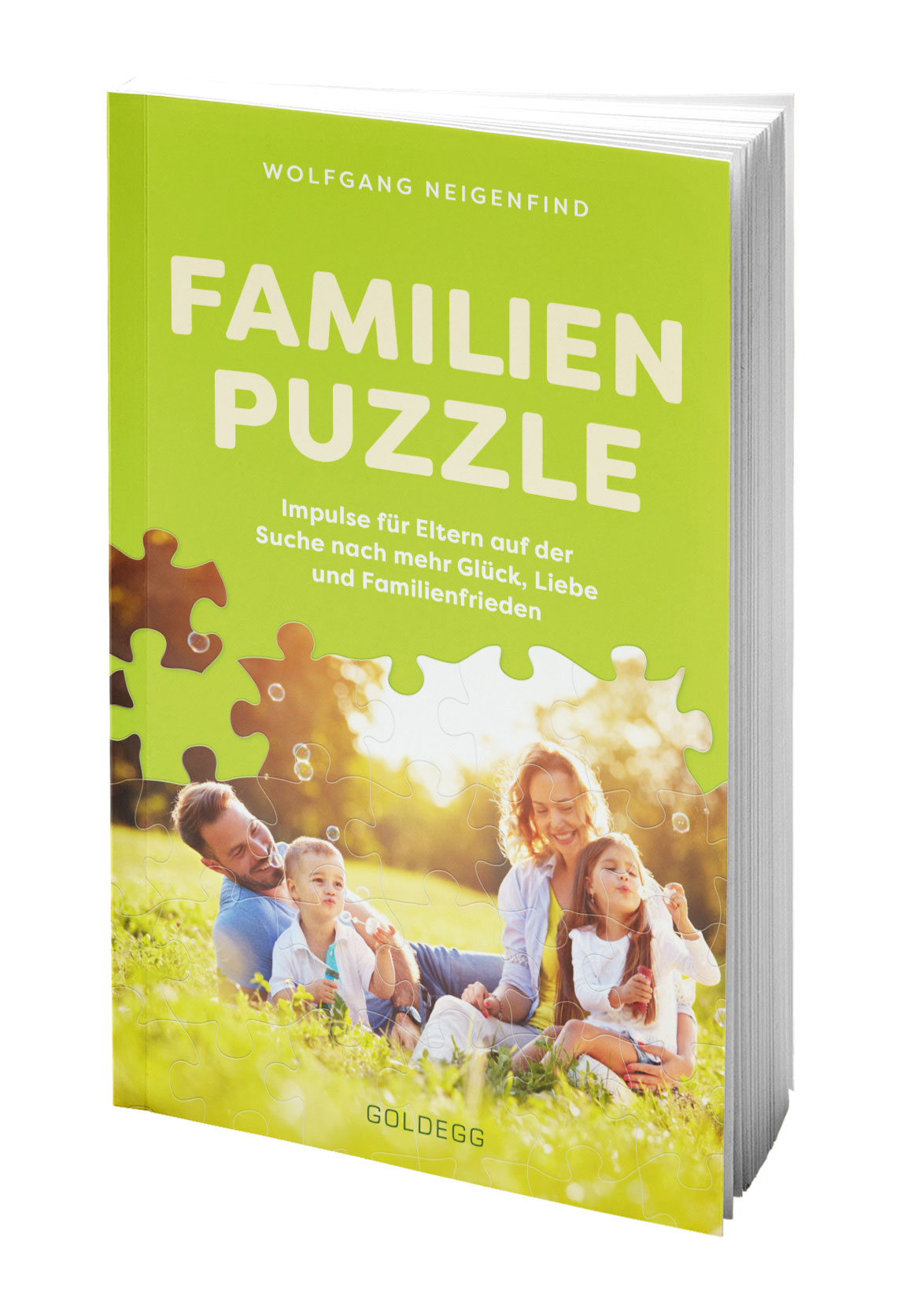 Coverbild des Buchs Familienpuzzle