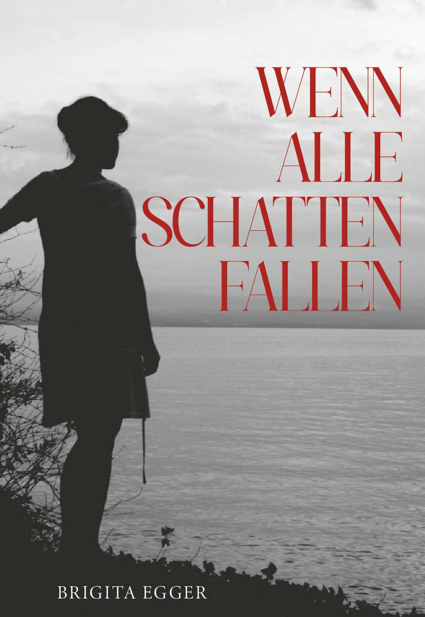 Coverbild des Buchs Wenn alle Schatten fallen