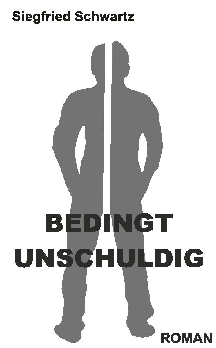 Coverbild des Buchs BEDINGT UNSCHULDIG