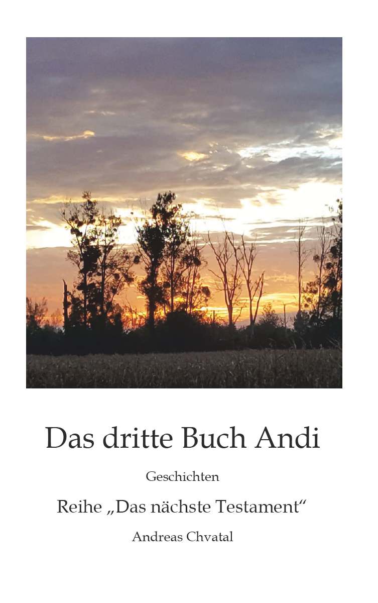Coverbild des Buchs Das dritte Buch Andi