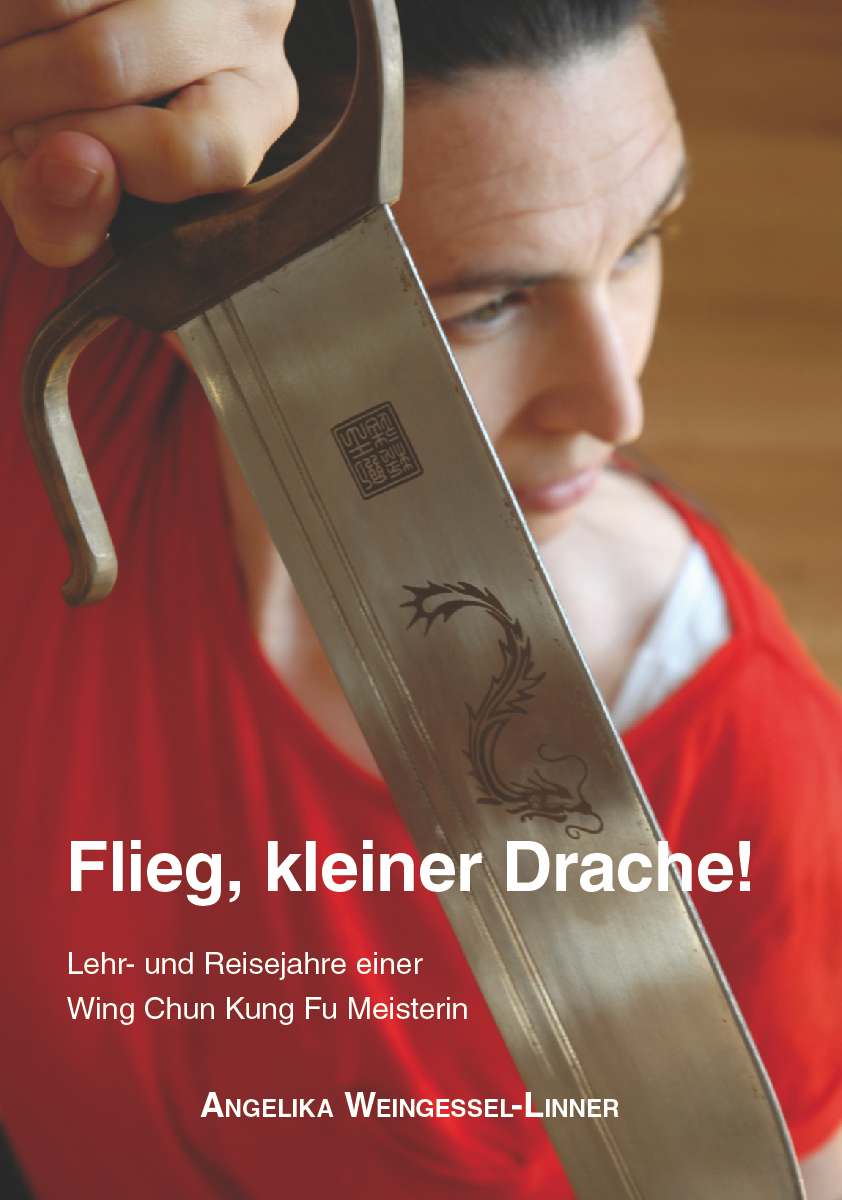 Coverbild des Buchs Flieg, kleiner Drache!
