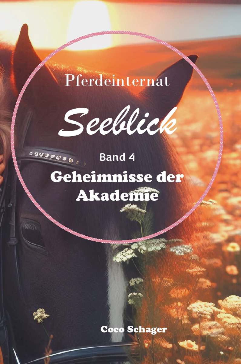 Coverbild des Buchs Pferdeinternat Seeblick Band 4