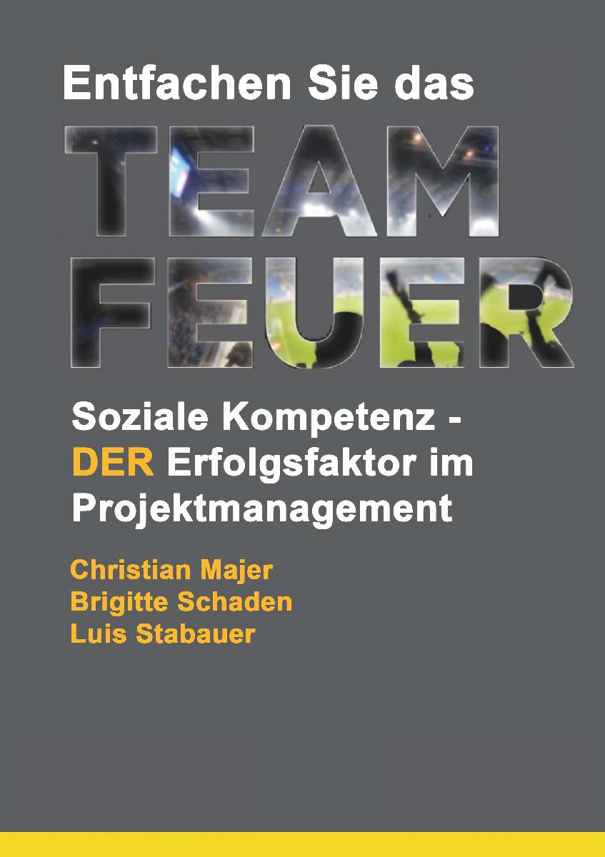 Coverbild des Buchs Entfachen Sie das Teamfeuer