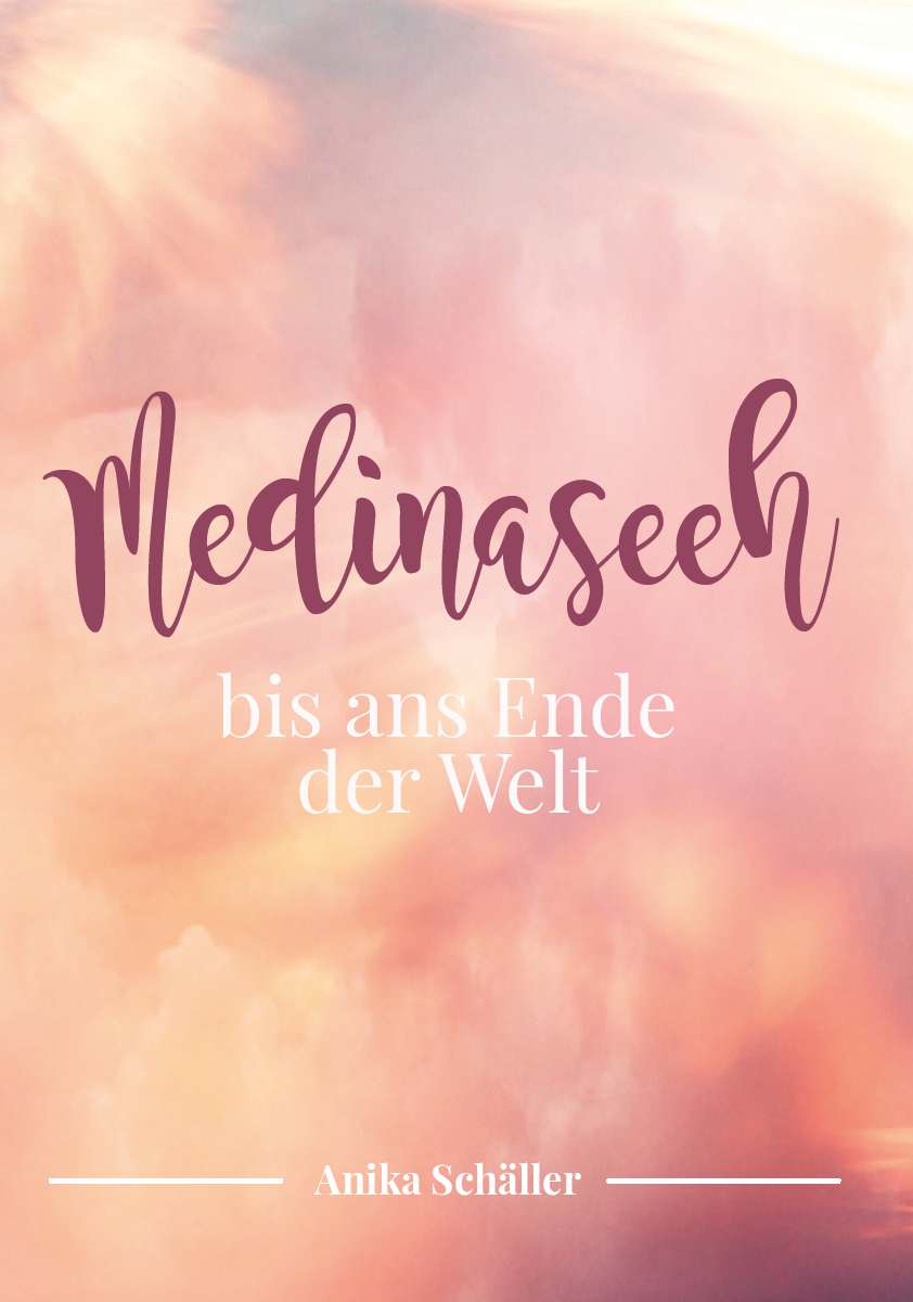 Coverbild des Buchs Medinaseeh Band 2