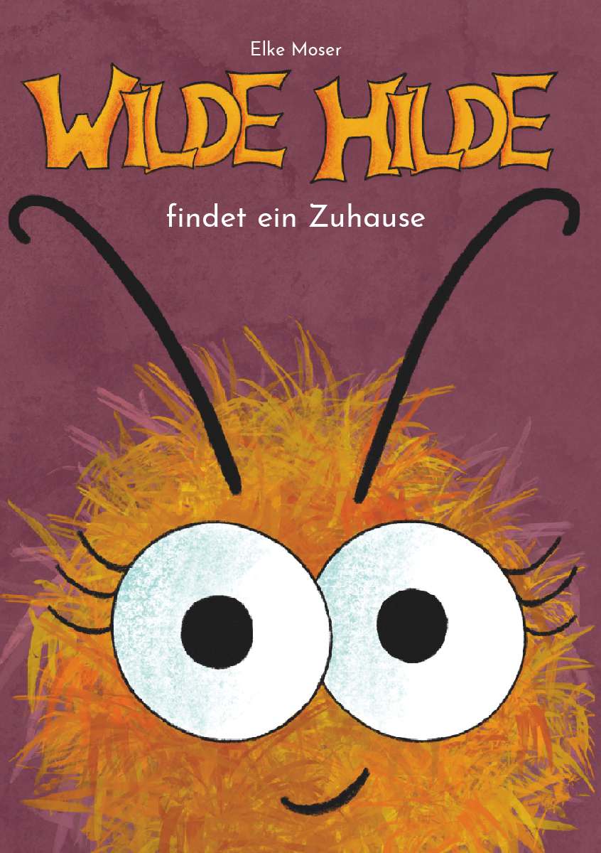 Coverbild des Buchs Wilde Hilde findet ein Zuhause