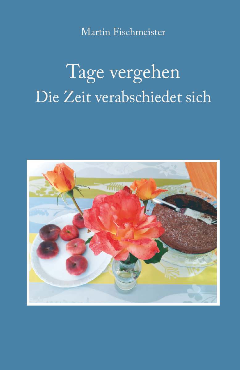 Coverbild des Buchs Tage vergehen 