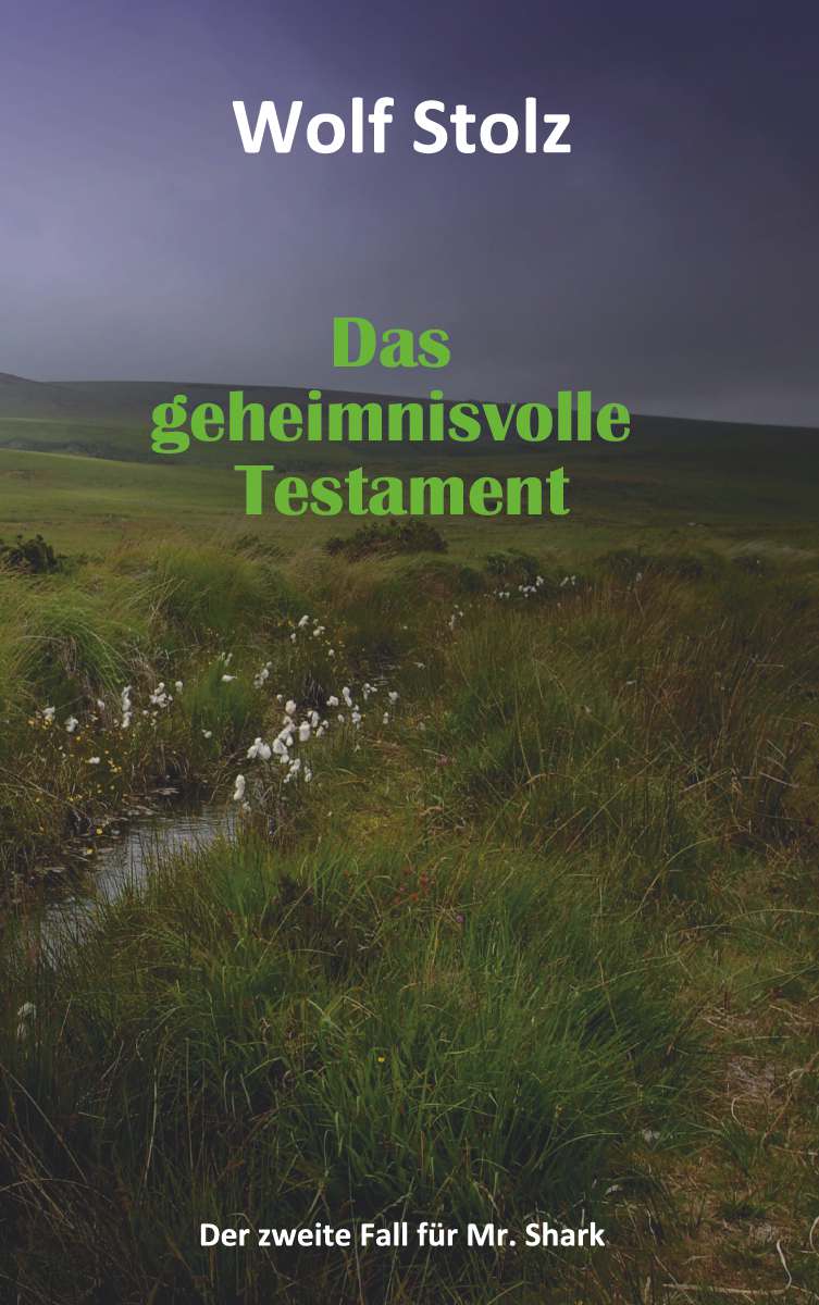 Coverbild des Buchs Das geheimnisvolle Testament - Der zweite Fall für Mr. Shark