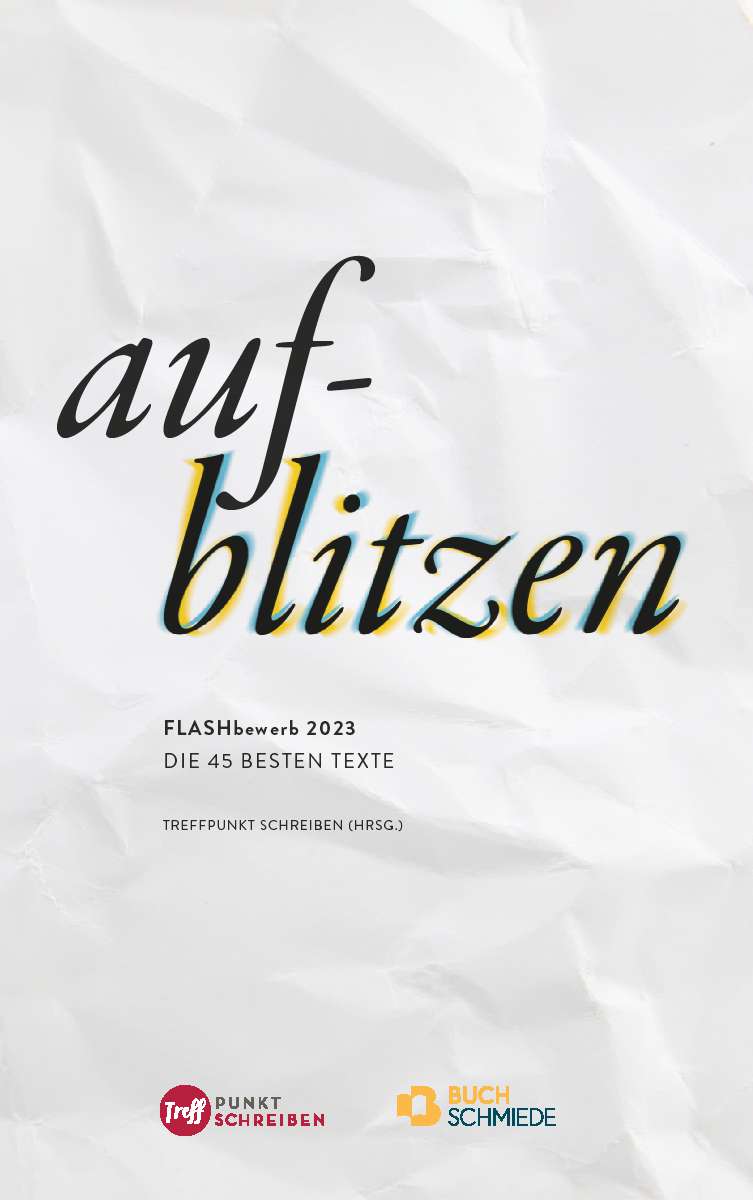 Coverbild des Buchs Aufblitzen