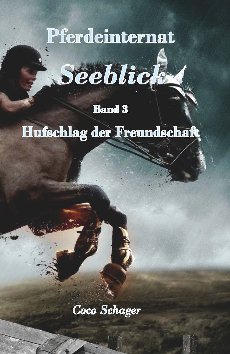 Coverbild des Buchs Pferdeinternat Seeblick Band 3
