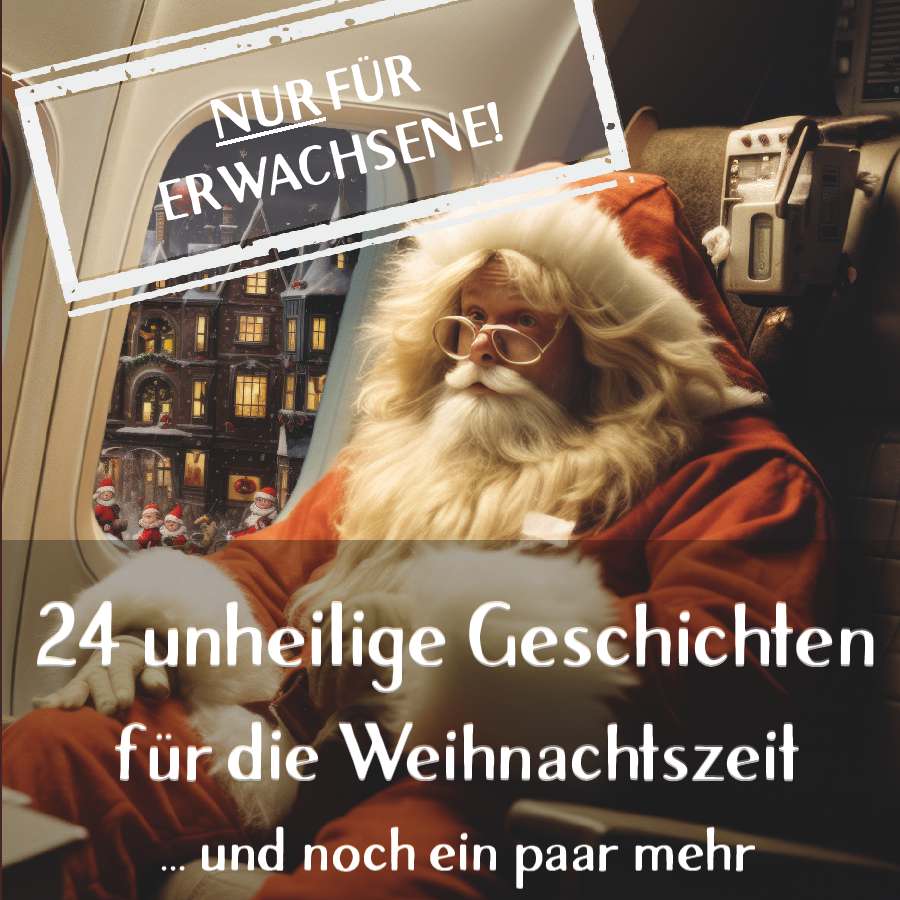 Coverbild des Buchs 24 unheilige Geschichten für die Weihnachtszeit