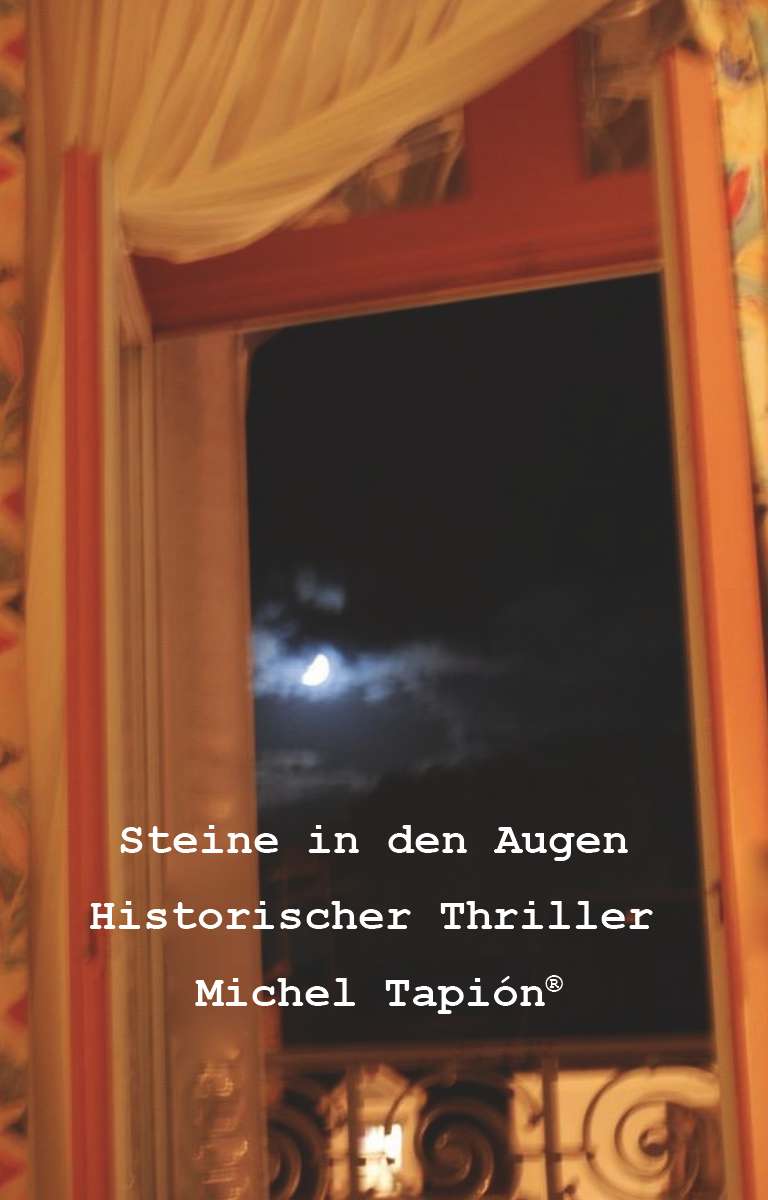 Coverbild des Buchs Steine In den Augen