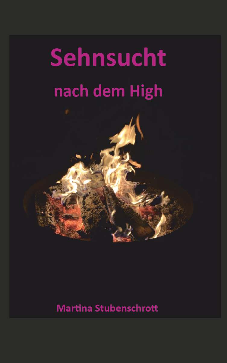 Coverbild des Buchs Sehnsucht nach dem High