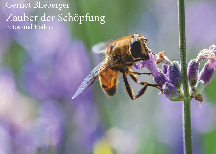 Coverbild des Buchs Zauber der Schöpfung