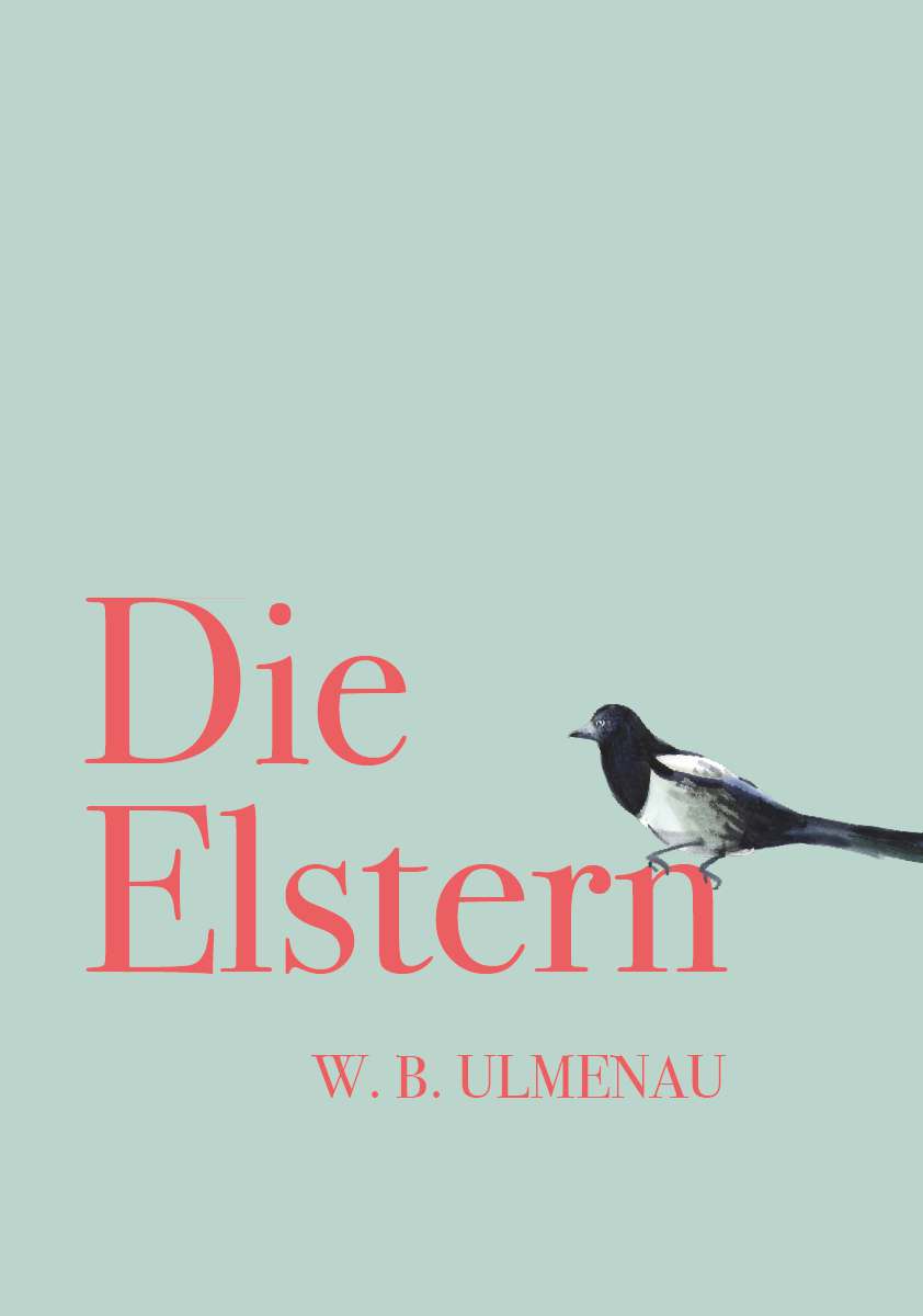 Coverbild des Buchs DIE ELSTERN