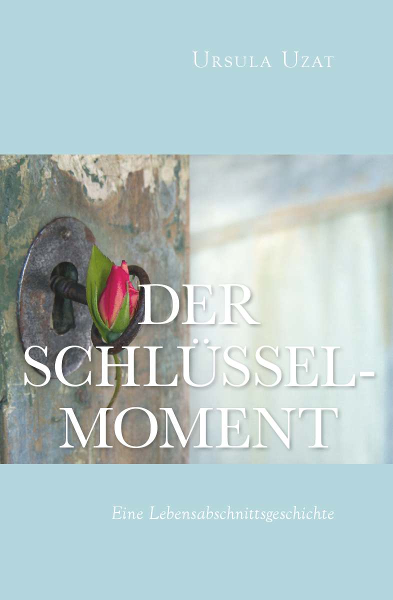 Coverbild des Buchs Der Schlüsselmoment