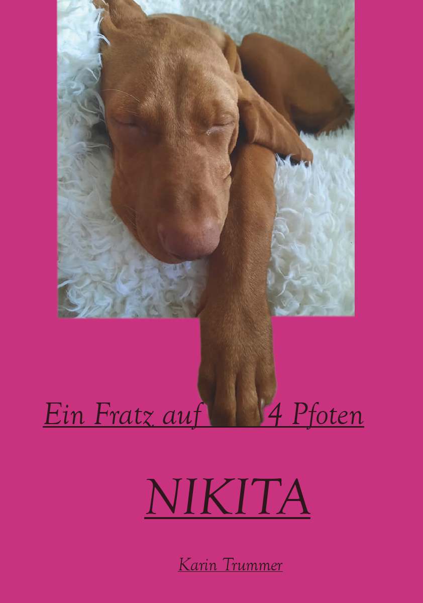 Coverbild des Buchs NIKITA