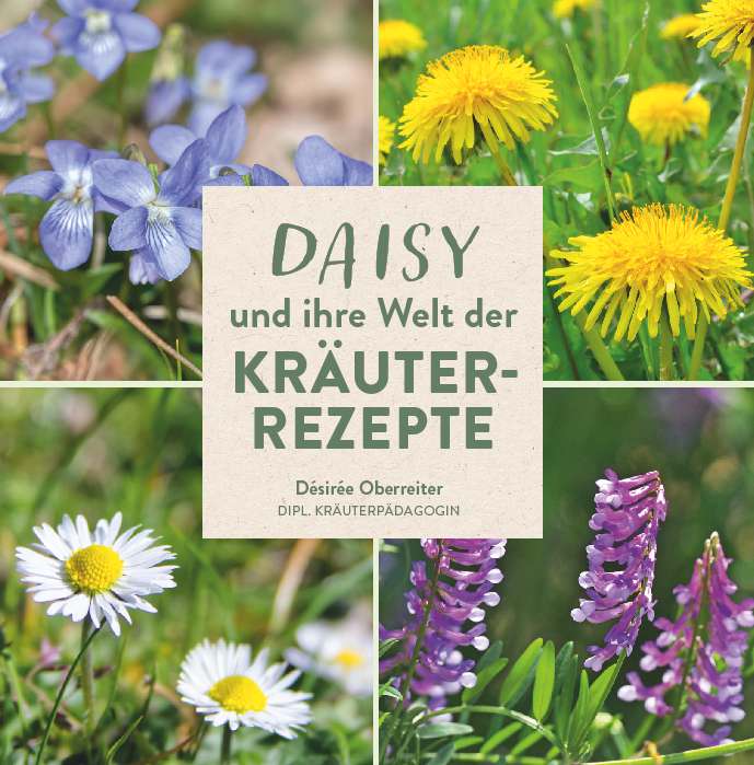 Coverbild des Buchs Daisy und ihre Welt der Kräuterrezepte