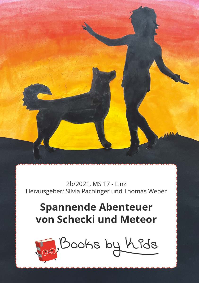 Coverbild des Buchs Spannende Abenteuer von Schecki und Meteor