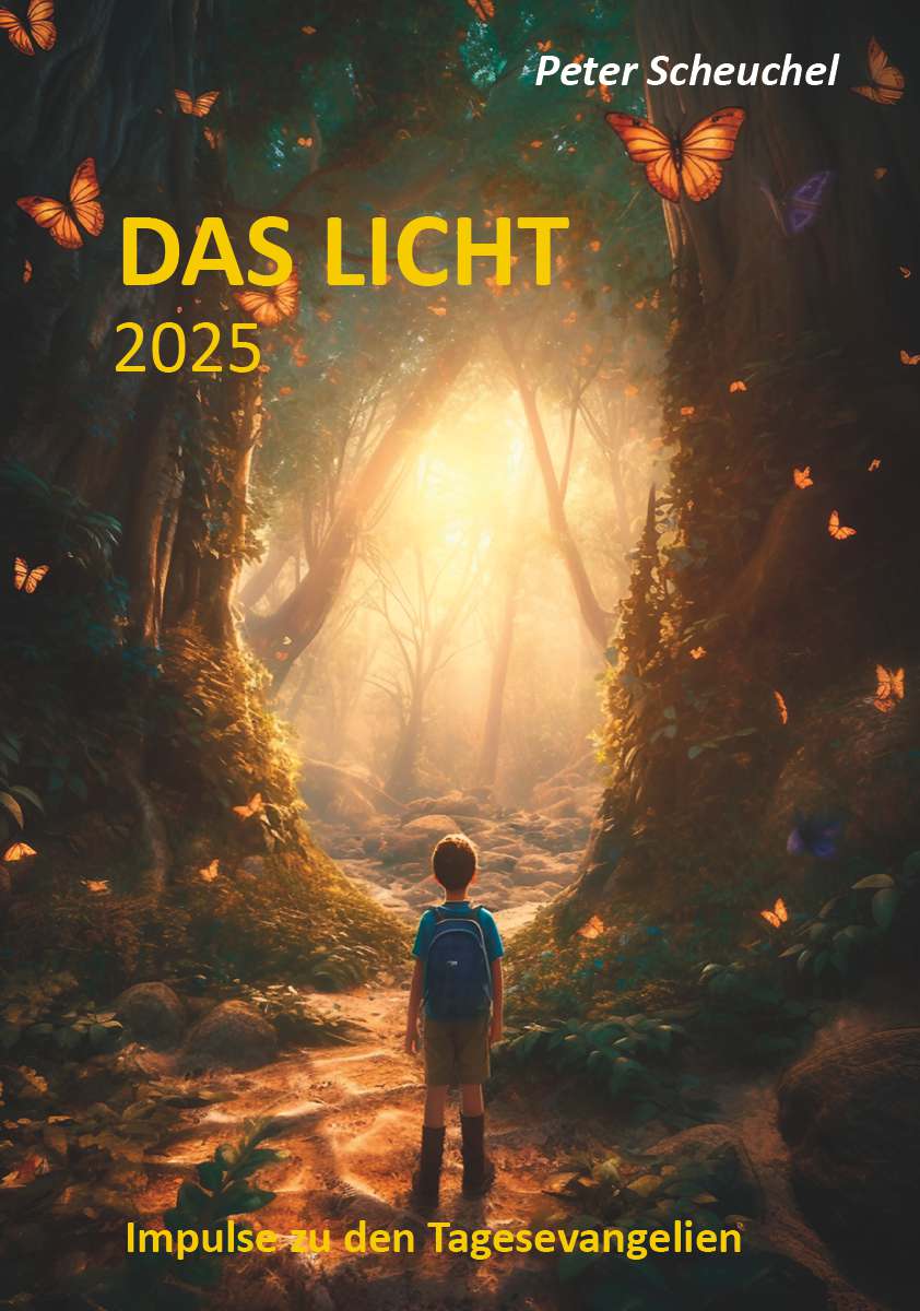 Coverbild des Buchs Das Licht 2025