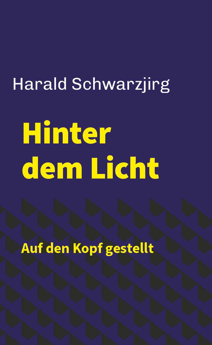 Coverbild des Buchs Hinter dem Licht - Auf den Kopf gestellt