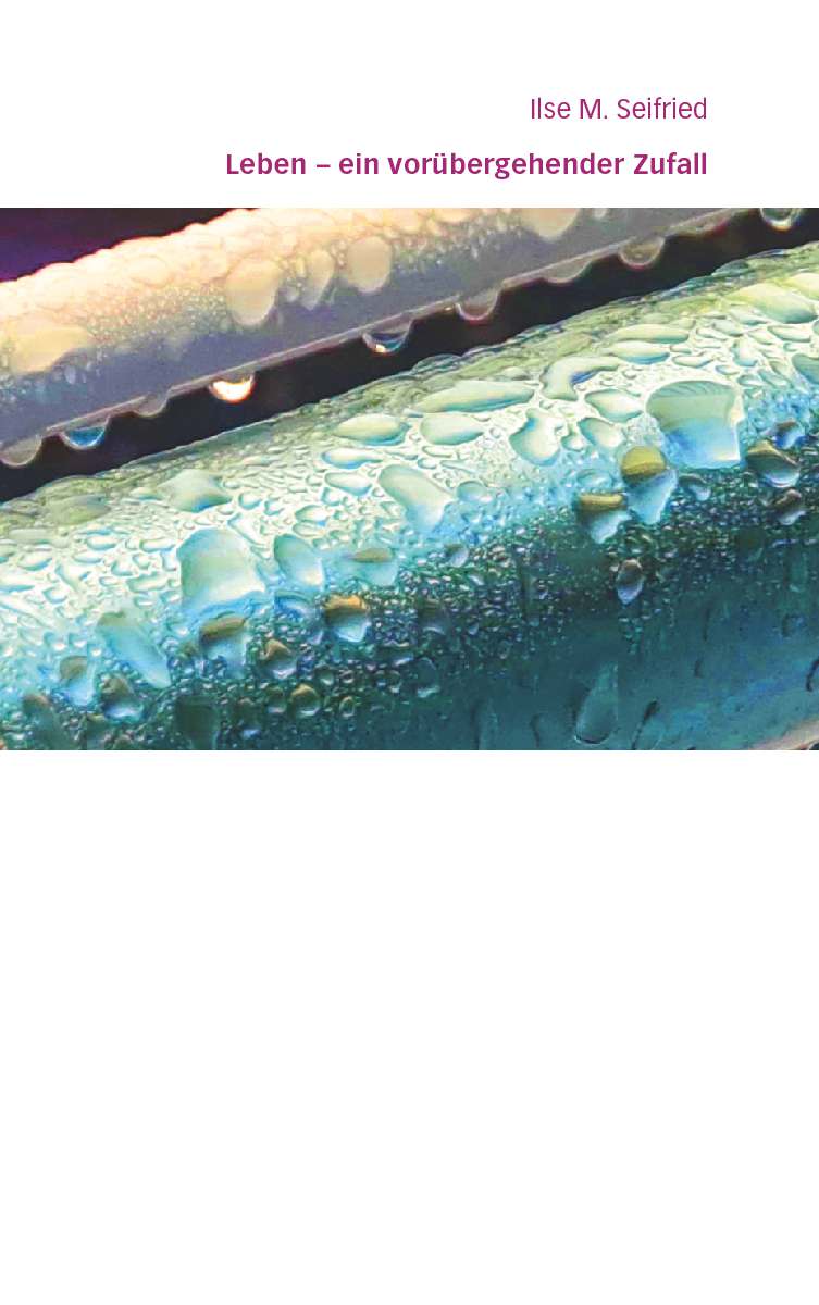 Coverbild des Buchs Leben - ein vorübergehender Zufall