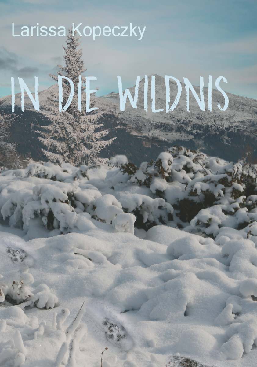 Coverbild des Buchs In die Wildnis
