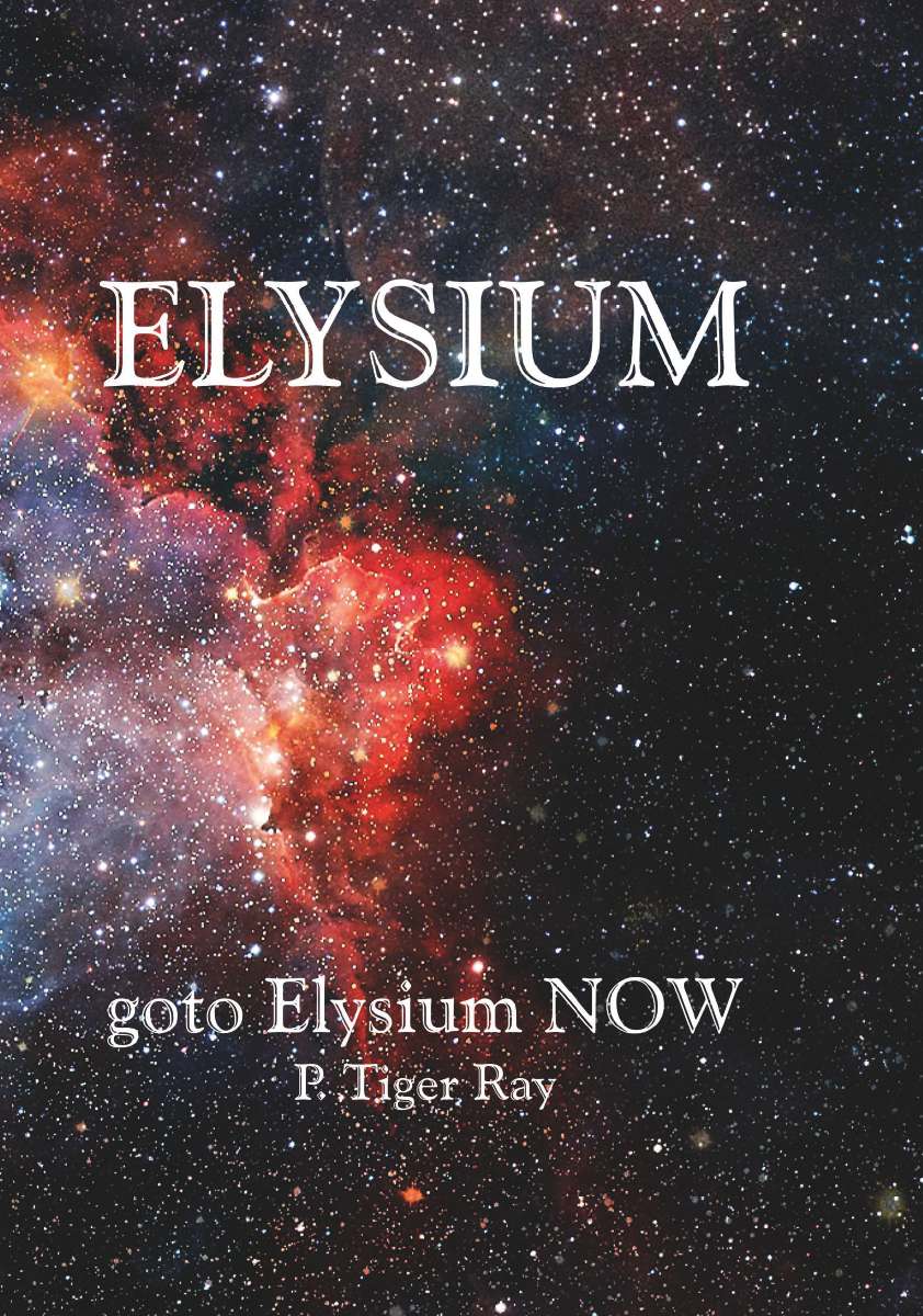Coverbild des Buchs goto Elysium NOW