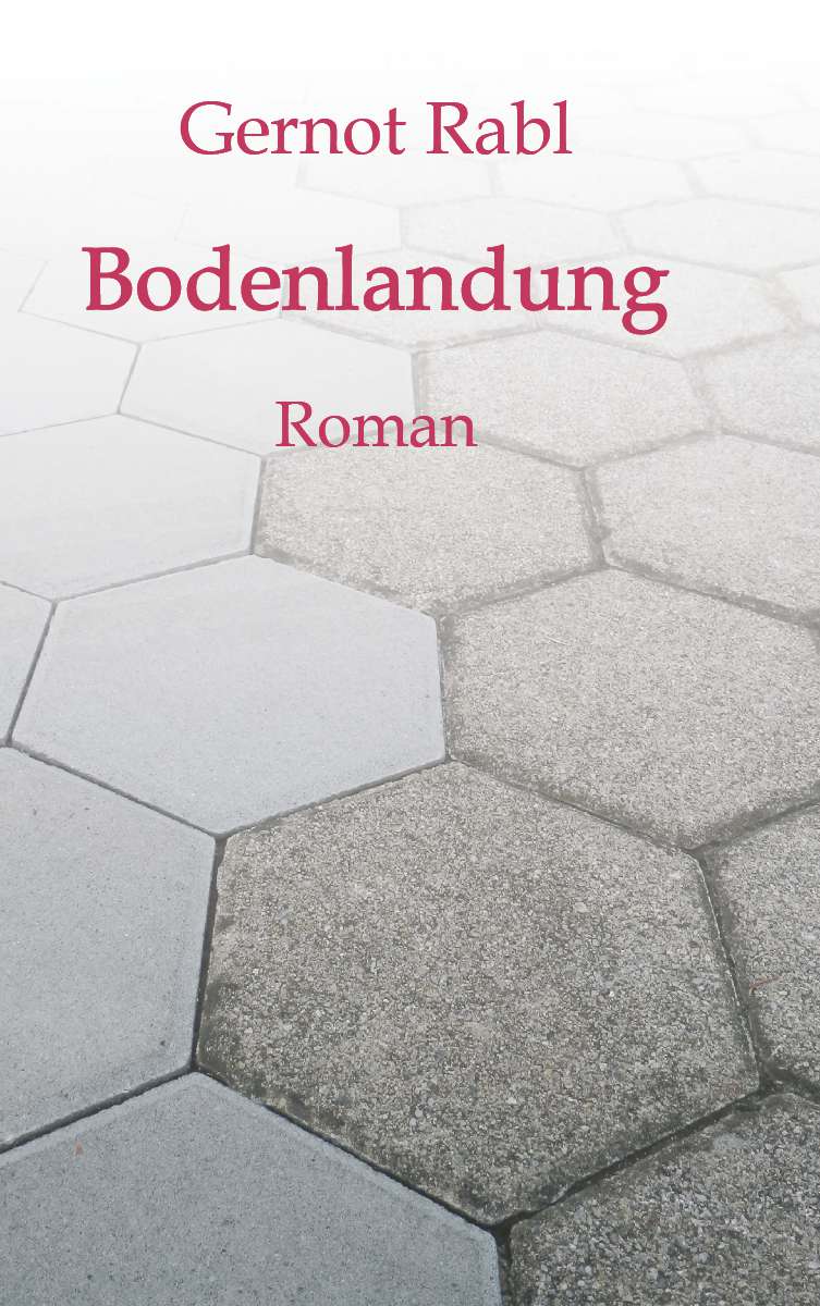 Coverbild des Buchs Bodenlandung
