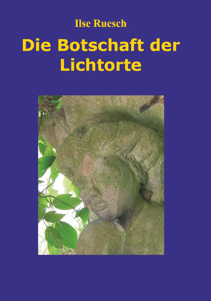 Coverbild des Buchs Die Botschaft der Lichtorte