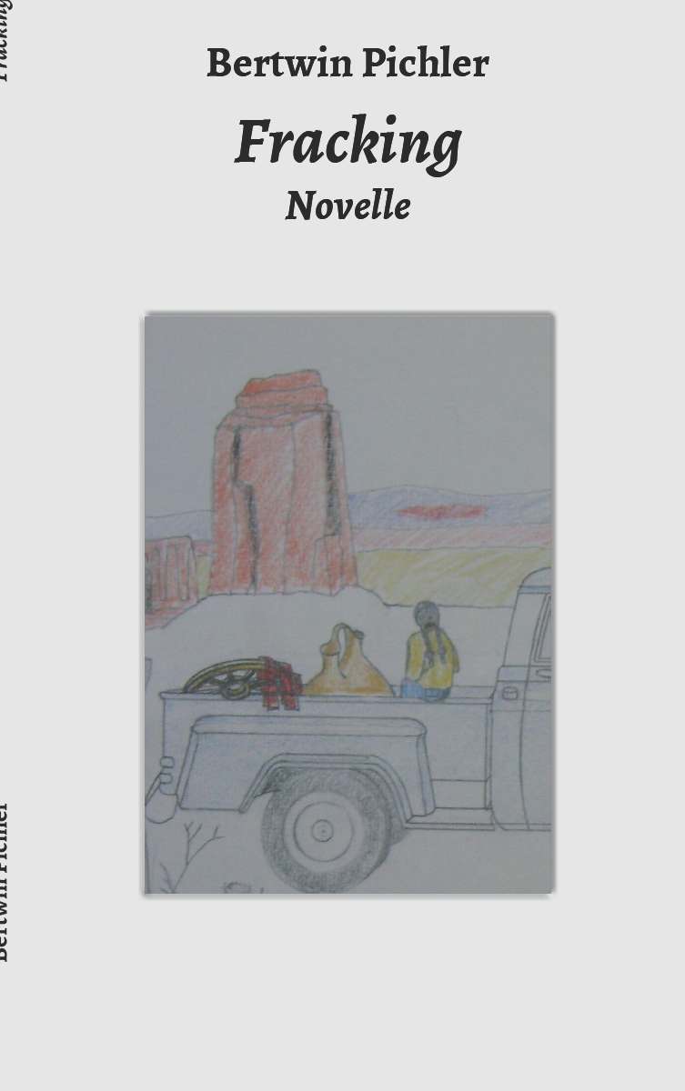 Coverbild des Buchs Fracking