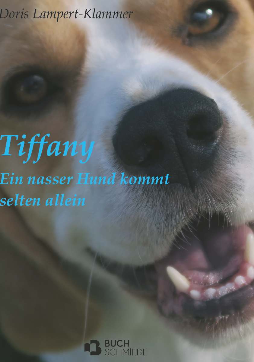 Coverbild des Buchs Tiffany,  ein nasser Hund kommt selten allein