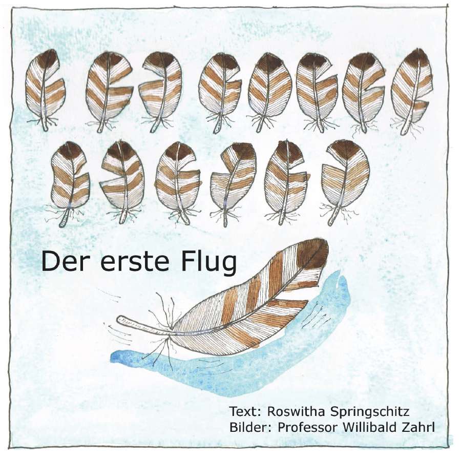 Coverbild des Buchs Der erste Flug