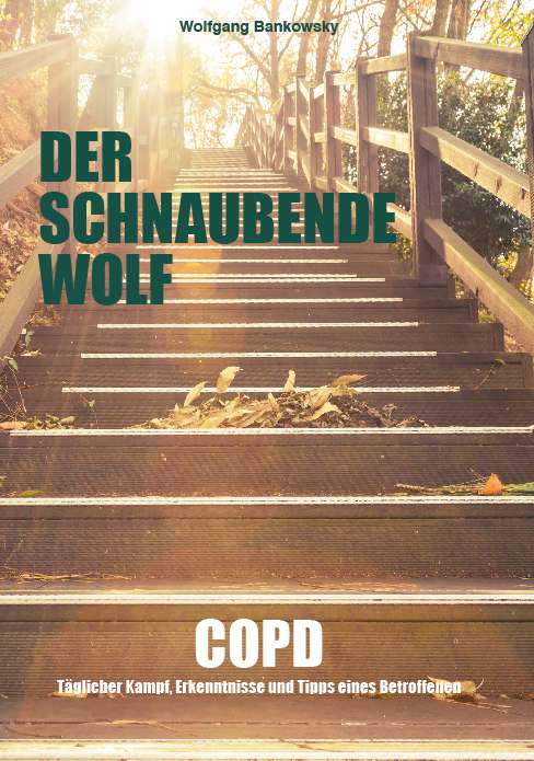 Coverbild des Buchs Der schnaubende Wolf