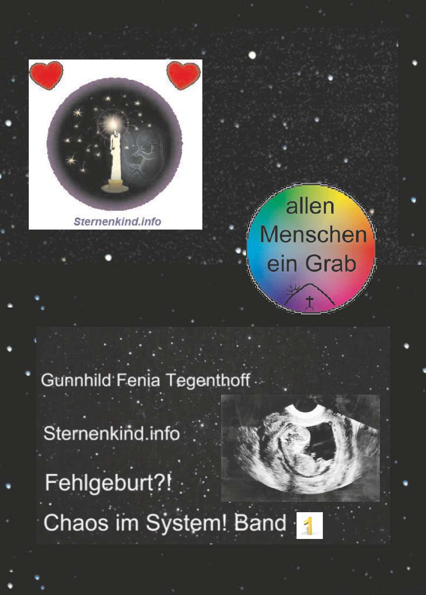 Coverbild des Buchs Fehlgeburt? Chaos im System! Band 1