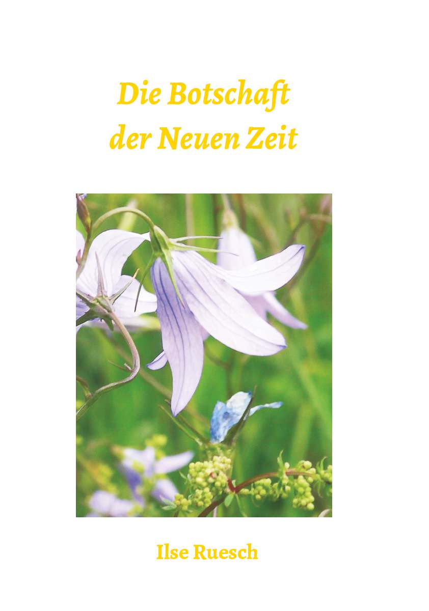 Coverbild des Buchs Die Botschaft der Neuen Zeit
