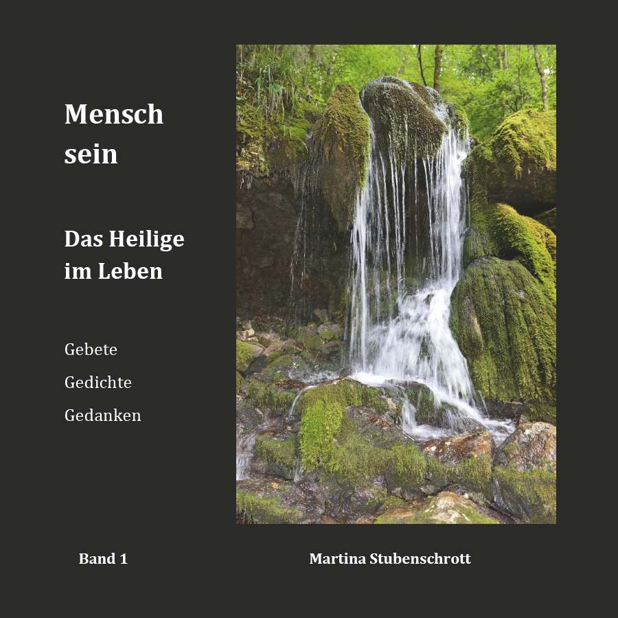 Coverbild des Buchs Mensch sein