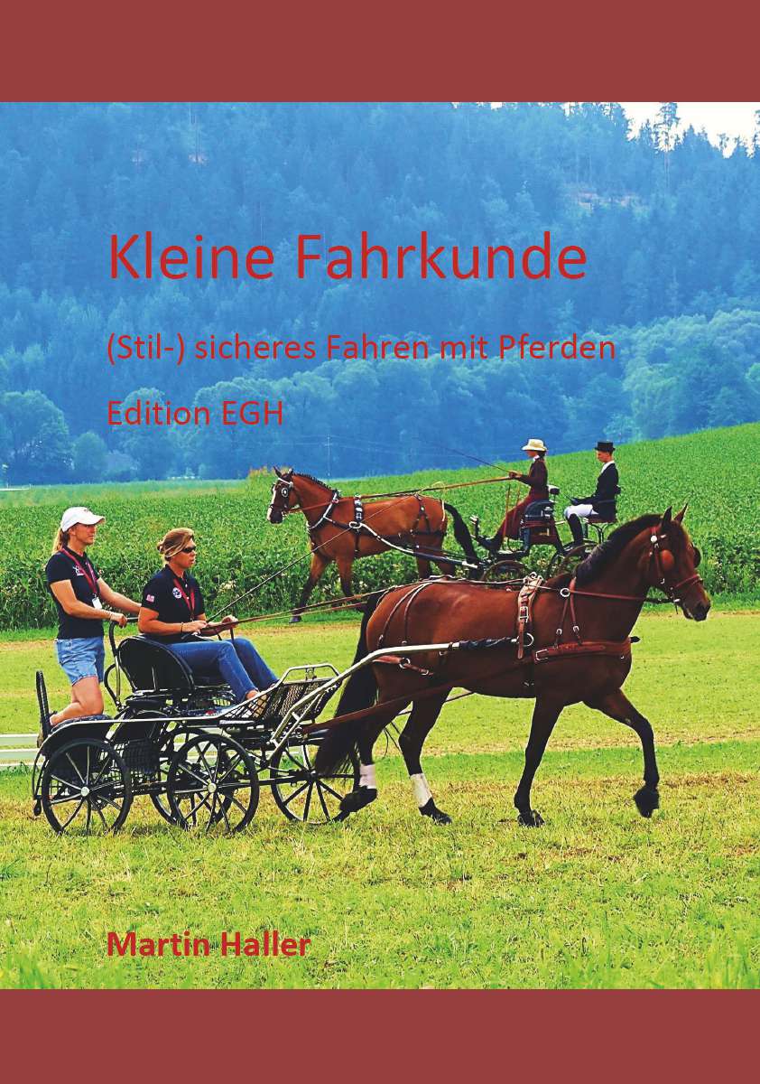 Coverbild des Buchs Kleine Fahrkunde