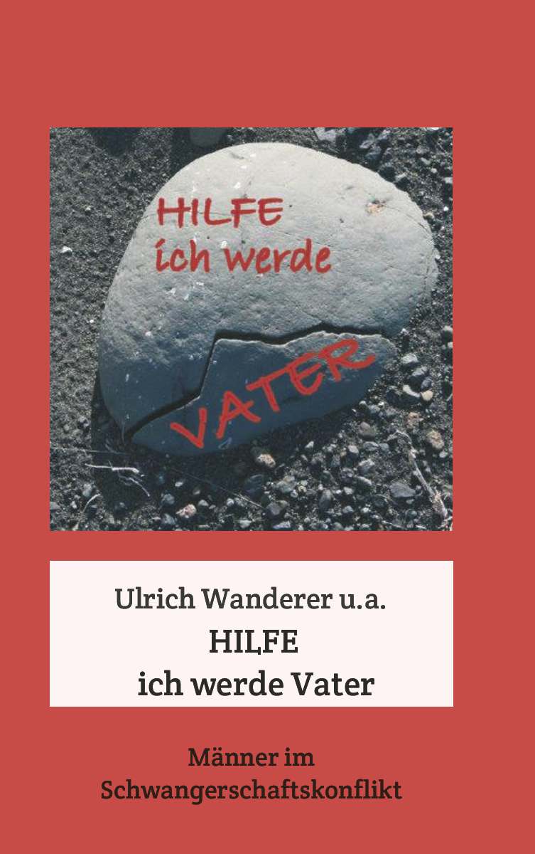 Coverbild des Buchs Hilfe ich werde Vater